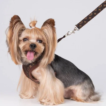 Harnes Pet Vest